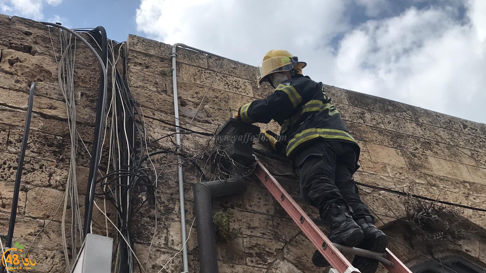  يافا: طواقم الاطفائية تُنقذ قطة عالقة في دوار الساعة 